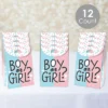 Big Dot Of Happiness Baby Gender Reveal - Team Boy Or Girl Gift Favor Bags - Party Goodie Boxes - Set Of 12