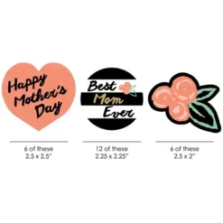 Big Dot Of Happiness Best Mom Ever Paper Straw Decor - Mother's Day Party Striped Decorative Straws - Set Of 24