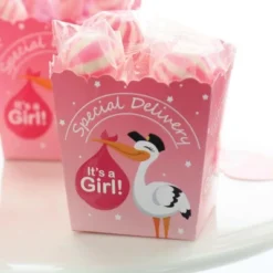 Big Dot Of Happiness Girl Special Delivery - Party Mini Favor Boxes - Pink It's A Girl Stork Baby Shower Treat Candy Boxes - Set Of 12 7 Big Dot Of Happiness Girl Special Delivery - Party Mini Favor Boxes - Pink It's A Girl Stork Baby Shower Treat Candy Boxes - Set Of 12 -Aurora Party Sales GUEST 8308ed18 ecbf 4b17 a959 0953bf38b0be