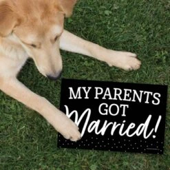 Big Dot Of Happiness Mr. And Mrs. - Photo Prop Signs - Black And White Wedding Or Bridal Shower Announcements - 10 Pieces 9 Big Dot Of Happiness Mr. And Mrs. - Photo Prop Signs - Black And White Wedding Or Bridal Shower Announcements - 10 Pieces -Aurora Party Sales GUEST 92b2643c 29aa 45a0 857e cf58e09d84ea