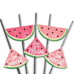 Big Dot Of Happiness Sweet Watermelon - Paper Straw Decor - Fruit Party Striped Decorative Straws - Set Of 24 -Aurora Party Sales GUEST 9d58a470 fac9 4d56 b637 d8849cf24c9c