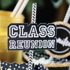 Big Dot Of Happiness Reunited - Paper Straw Decor - School Class Reunion Party Striped Decorative Straws - Set Of 24 -Aurora Party Sales GUEST a4aa9b7c 2b4a 4d2a 95df d21354c1b01d