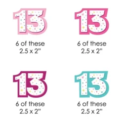 Big Dot Of Happiness Girl 13th Birthday - Paper Straw Decor - Official Teenager Birthday Party Striped Decorative Straws - Set Of 24