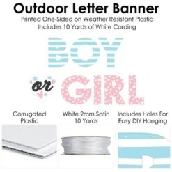 Big Dot Of Happiness Baby Gender Reveal - Team Boy Or Girl Party Decorations - Boy Or Girl - Outdoor Letter Banner -Aurora Party Sales GUEST c3051583 27e9 47a9 8d70 711baa920f36