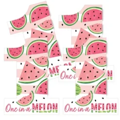 Big Dot Of Happiness 1st Birthday One In A Melon - One Shaped Decorations DIY Fruit First Birthday Party Essentials - Set Of 20