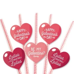 Big Dot Of Happiness Happy Galentine's Day - Paper Straw Decor - Valentine's Day Party Striped Decorative Straws - Set Of 24 -Aurora Party Sales GUEST ef1c2b24 11a5 44f8 8215 9c90dde29ded
