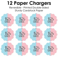 Big Dot Of Happiness Baby Gender Reveal - Team Boy Or Girl Party Round Table Decorations - Paper Chargers - Place Setting For 12 -Aurora Party Sales GUEST f5b96aec 92ec 41f5 9c3f 6f9c1248d5f4